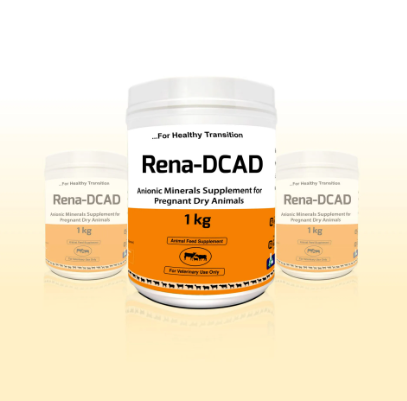 Rena DCAD vet Powder 1kg Container