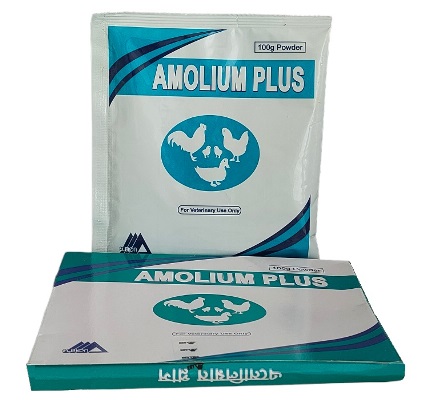 Amolium Plus 100gm Powder