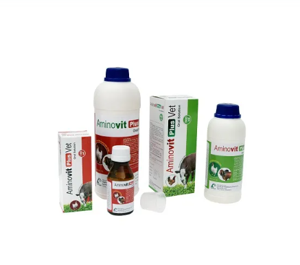 Aminovit Plus 100ml