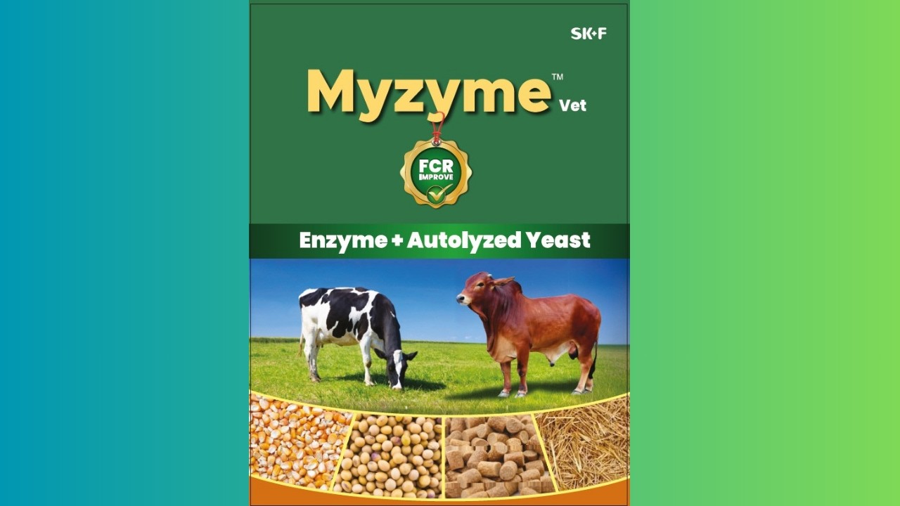 Myzyme vet 100gm