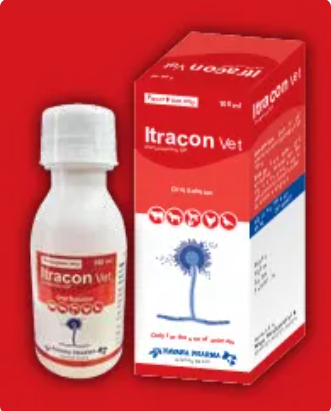 Itracon 15ml
