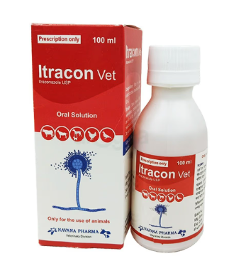 Itracon 100ml