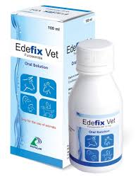 Edefix vet 100ml