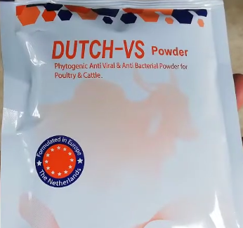 Dutch VS 100 gm