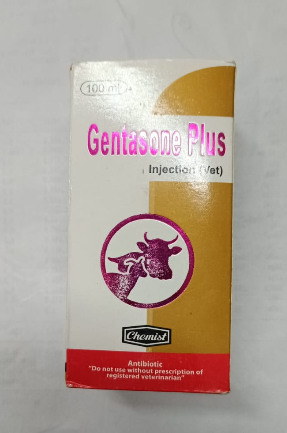 Gentasone Plus Injection 100ml