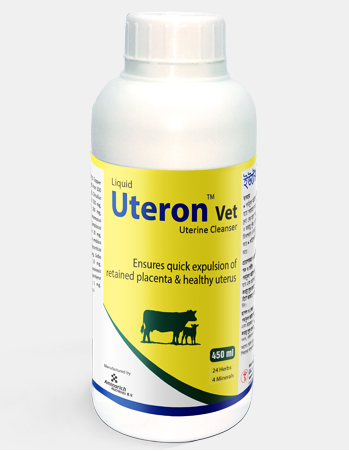 Uteron