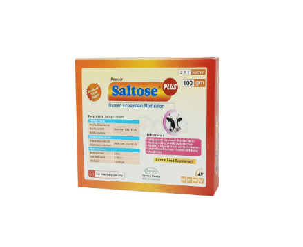 Saltose Plus 100gm