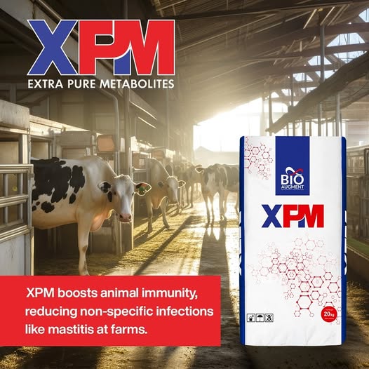 XPM vet powder 1kg