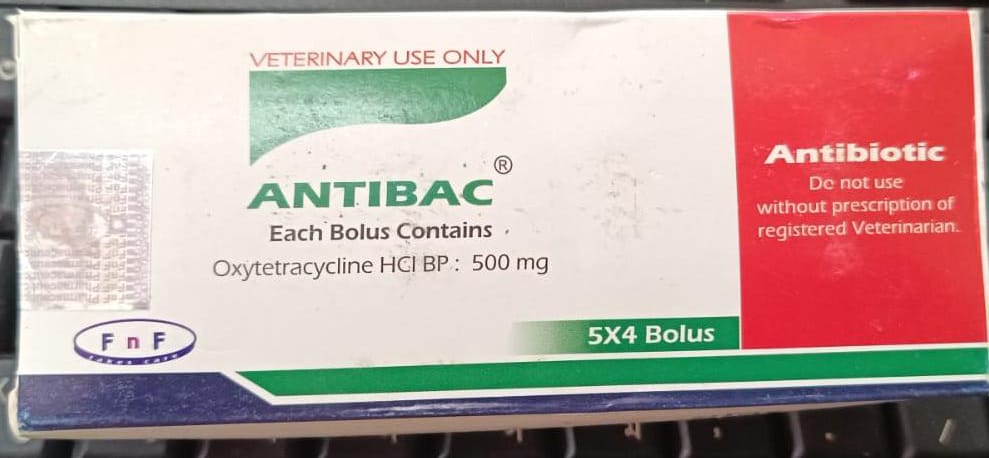 Antibac vet 500mg Bolus 5x4's