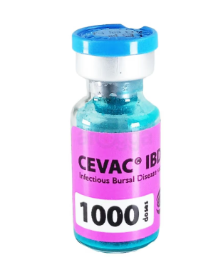 ACI Gumboro Cevac IBD L 1000d