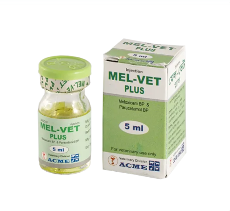 Mel Vet Plus Injection 5 ml