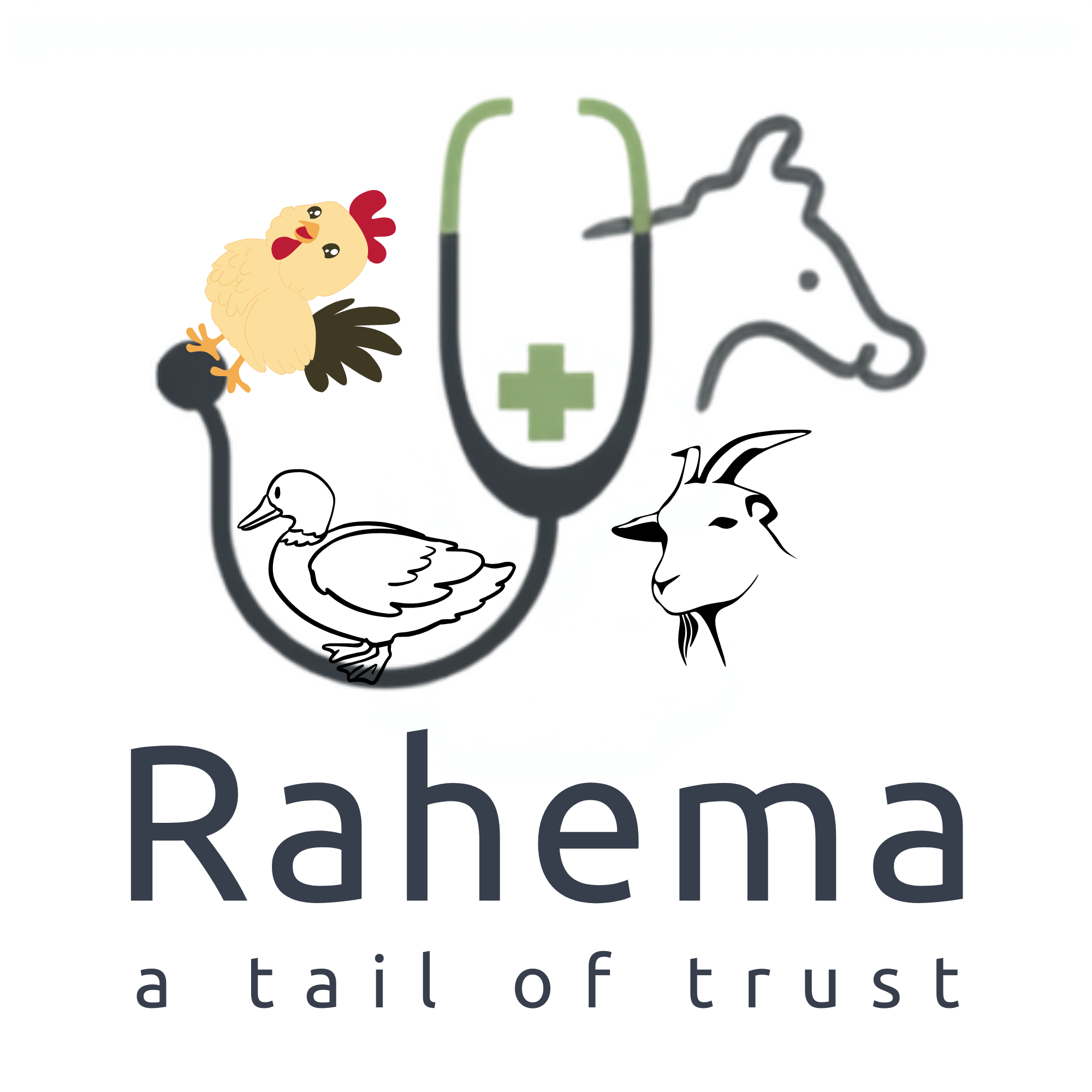 Ms Rahema Traders